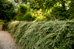 B&B vicino tangenziale Modena B&B vicino tangenziale Modena