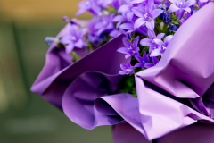 B&B vicino tangenziale Modena B&B vicino tangenziale Modena