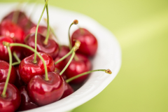 hotel_castello-9230-2-162 hotel_castello-9230-2-162